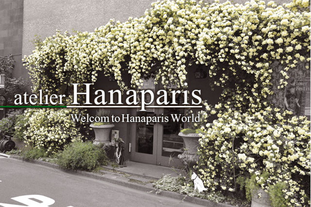 Welcom to HanaparisWorld